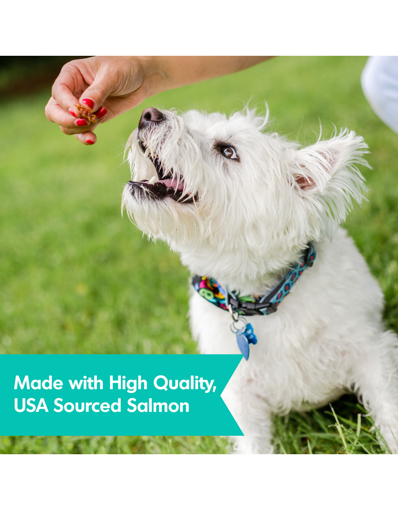 Dogswell Dogswell Skin & Coat Mini Jerky Dog Treat Salmon 4 Oz