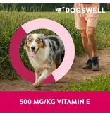 Dogswell Dogswell Immune System Mini Jerky Dog Treat Duck 4 Oz