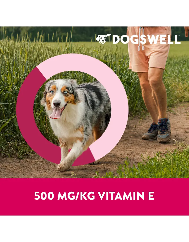 Dogswell Dogswell Immune System Mini Jerky Dog Treat Duck 4 Oz