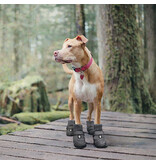 Petrageous Glacier Snug Boot Black