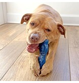 Nylabone Nylabone Power Chew Love Our Oceans Teddy Bear Bone Dog Toy