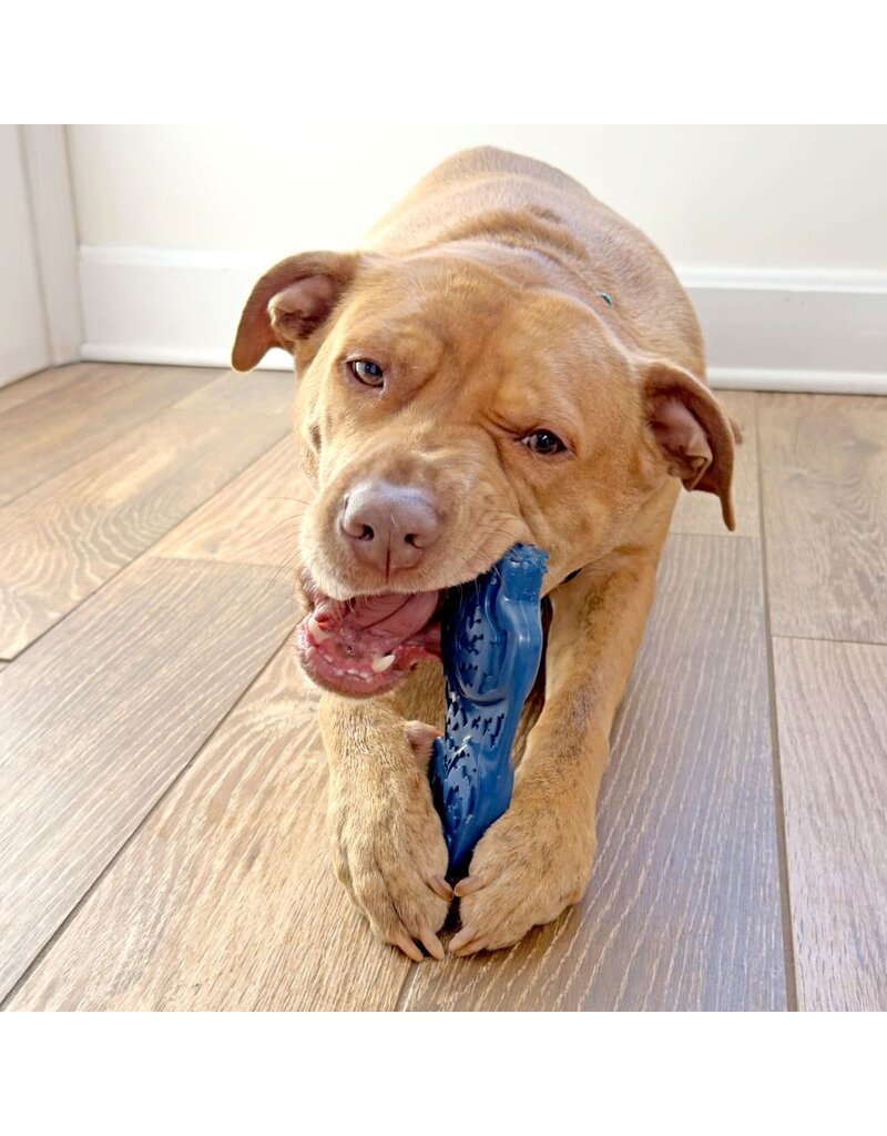 Nylabone Nylabone Power Chew Love Our Oceans Teddy Bear Bone Dog Toy