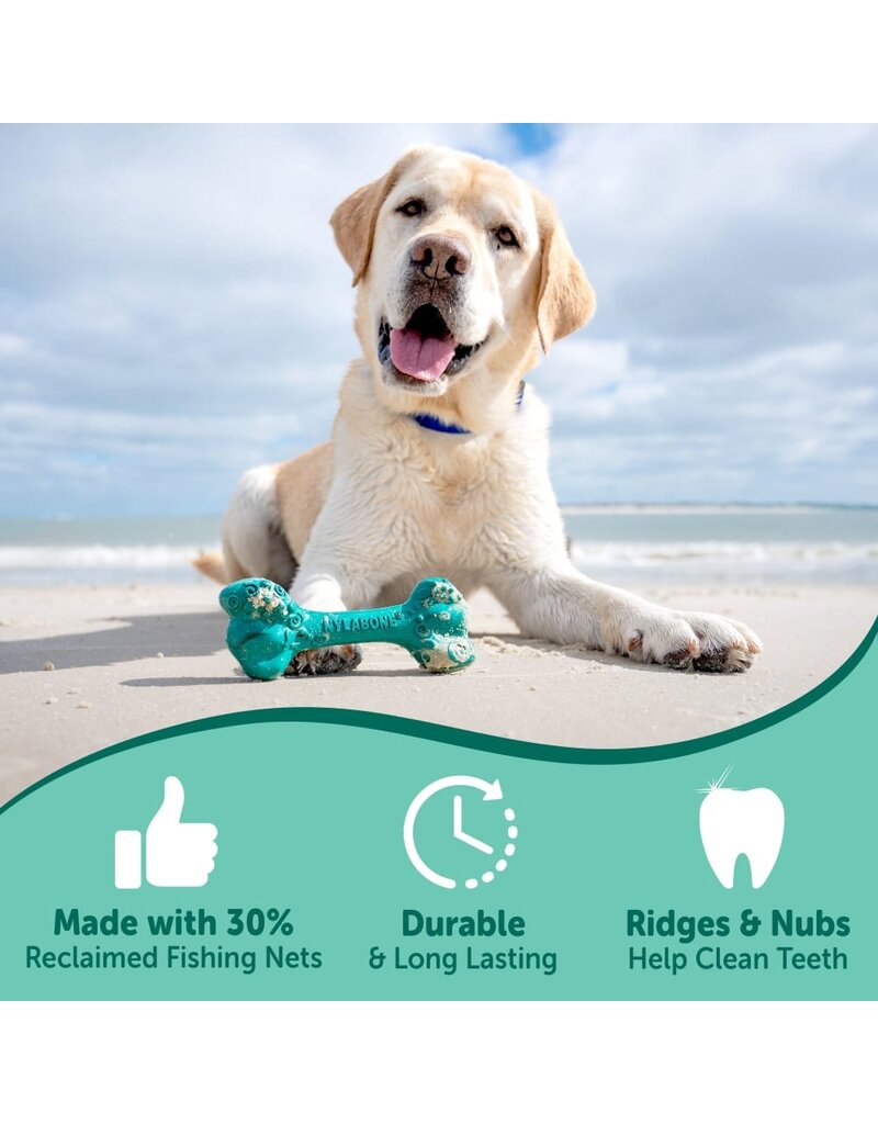 Nylabone Nylabone Power Chew Love Our Oceans Frenzy Bone Dog Toy