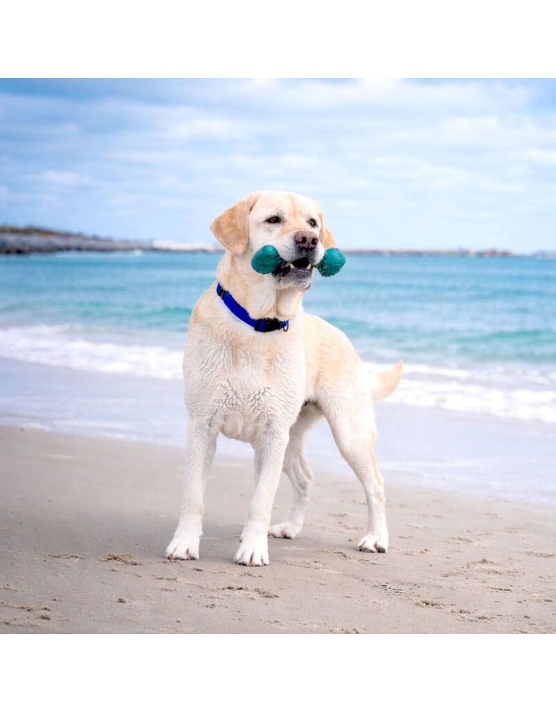 Nylabone Nylabone Power Chew Love Our Oceans Frenzy Bone Dog Toy