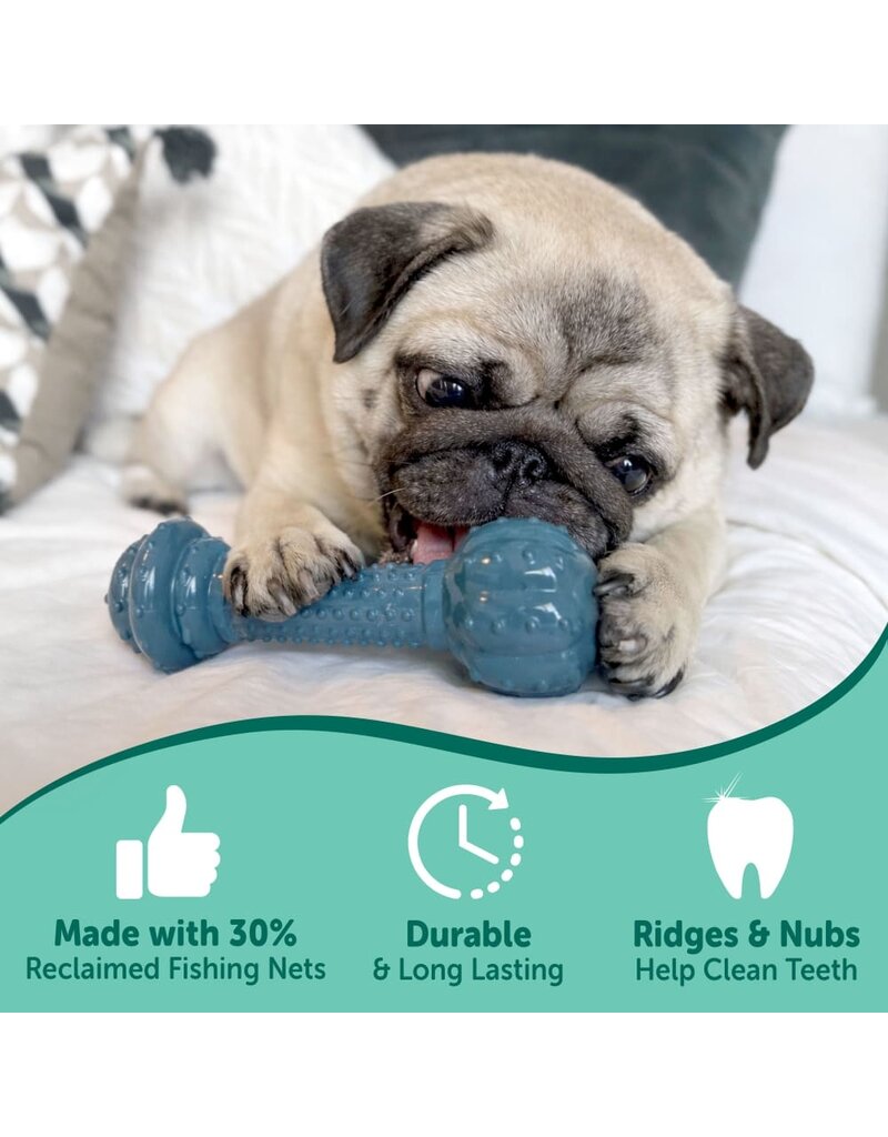 Nylabone Nylabone Power Chew Love Our Oceans Barbell Dog Toy