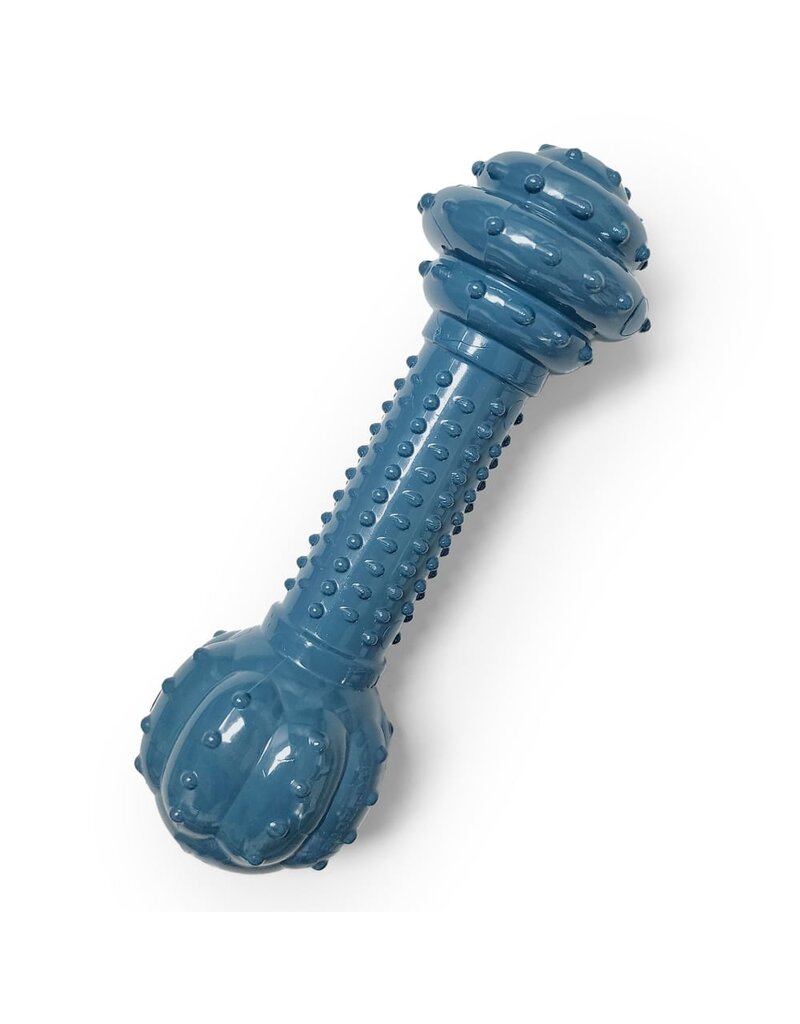 Nylabone Nylabone Power Chew Love Our Oceans Barbell Dog Toy