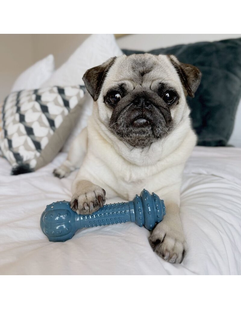 Nylabone Nylabone Power Chew Love Our Oceans Barbell Dog Toy