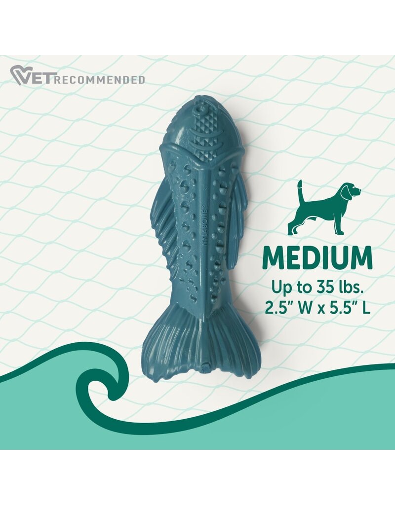 Nylabone Nylabone Power Chew Love Our Oceans Textured Fish Dog Toy