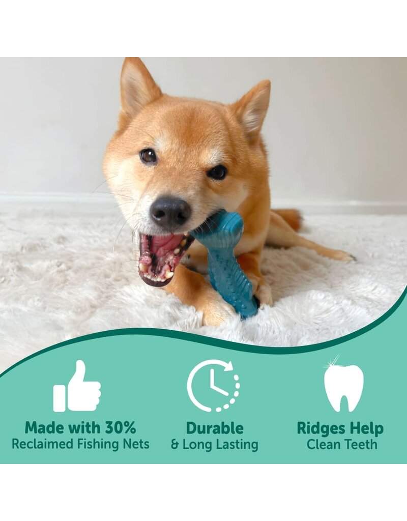 Nylabone Nylabone Power Chew Love Our Oceans Textured Fish Dog Toy