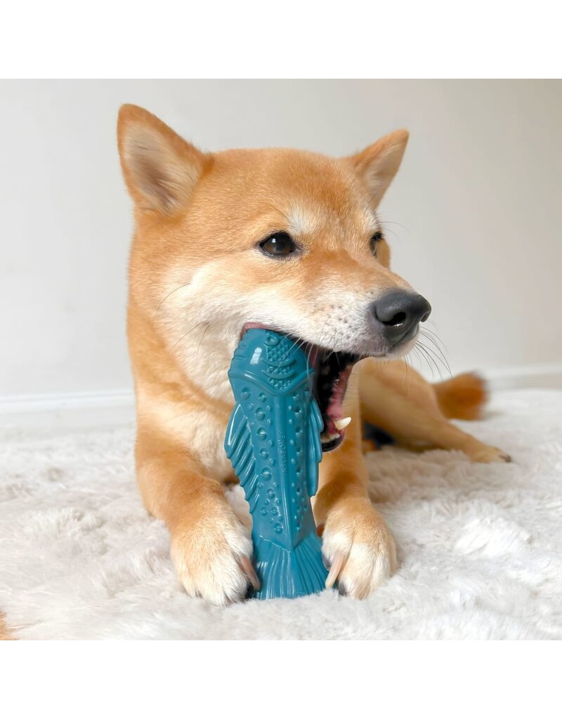 Nylabone Nylabone Power Chew Love Our Oceans Textured Fish Dog Toy