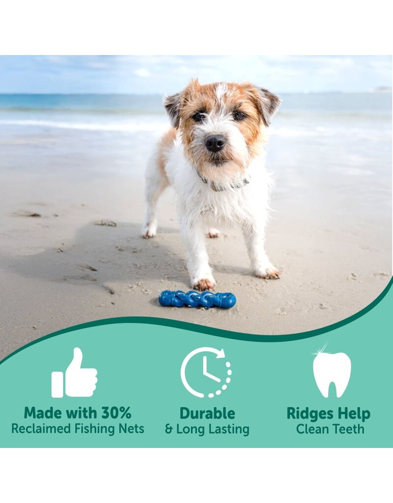 Nylabone Nylabone Power Chew Love Our Oceans Infinity Braid Bone Dog Toy