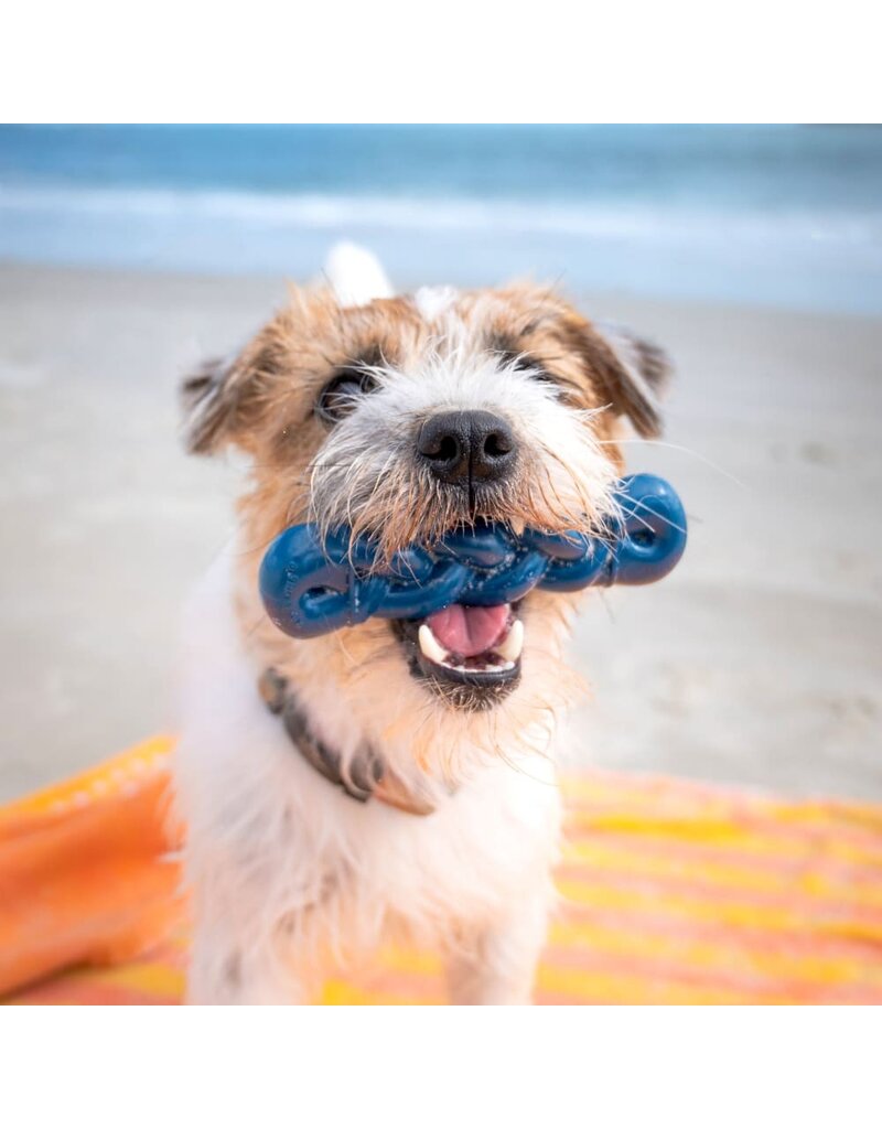 Nylabone Nylabone Power Chew Love Our Oceans Infinity Braid Bone Dog Toy