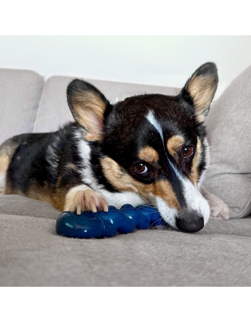 Nylabone Nylabone Power Chew Love Our Oceans Infinity Braid Bone Dog Toy