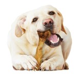 Nylabone Healthy Edibles Broth Bone Natural Dog Chew Ham Large