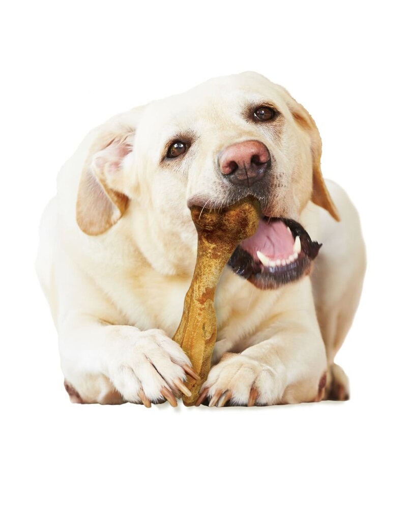 Nylabone Healthy Edibles Broth Bone Natural Dog Chew Ham Large