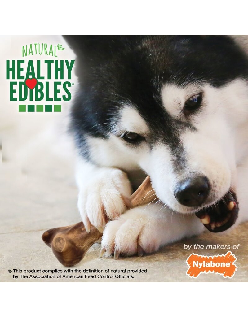 Nylabone Healthy Edibles Broth Bone Natural Dog Chew Ham Large