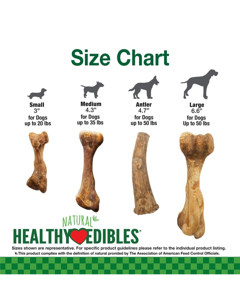 Nylabone Healthy Edibles Broth Bone Natural Dog Chew Ham Large