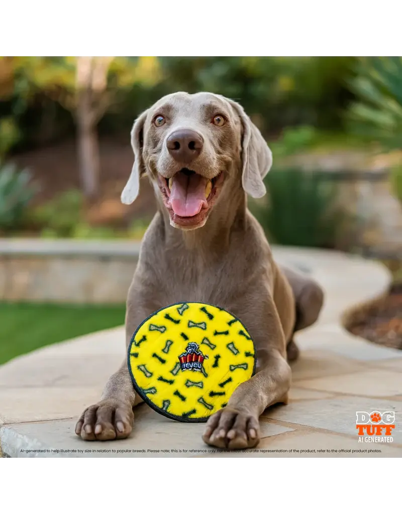 VIP Products Tuffy Ultimate Flyer Dog Toy