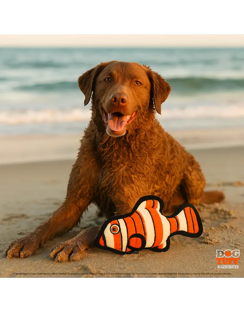 VIP Products Tuffy Durable Bemo the Clown Fish Dog Toy