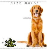 VIP Products Tuffy Durable Phineas Phrog Dog Toy