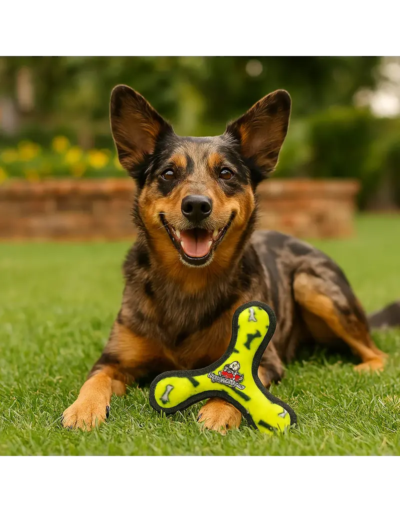 VIP Products Tuffy Durable Ultimate Boomerang Jr Dog Toy