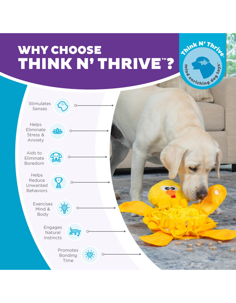 Outward Hound Outward Hound Snuffle Palz Interactive Plush Dog Puzzle & Snuffle Mat Chicken