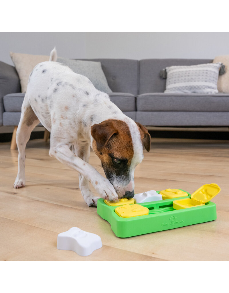 Outward Hound Outward Hound Brick Dog Puzzle Green Level 2