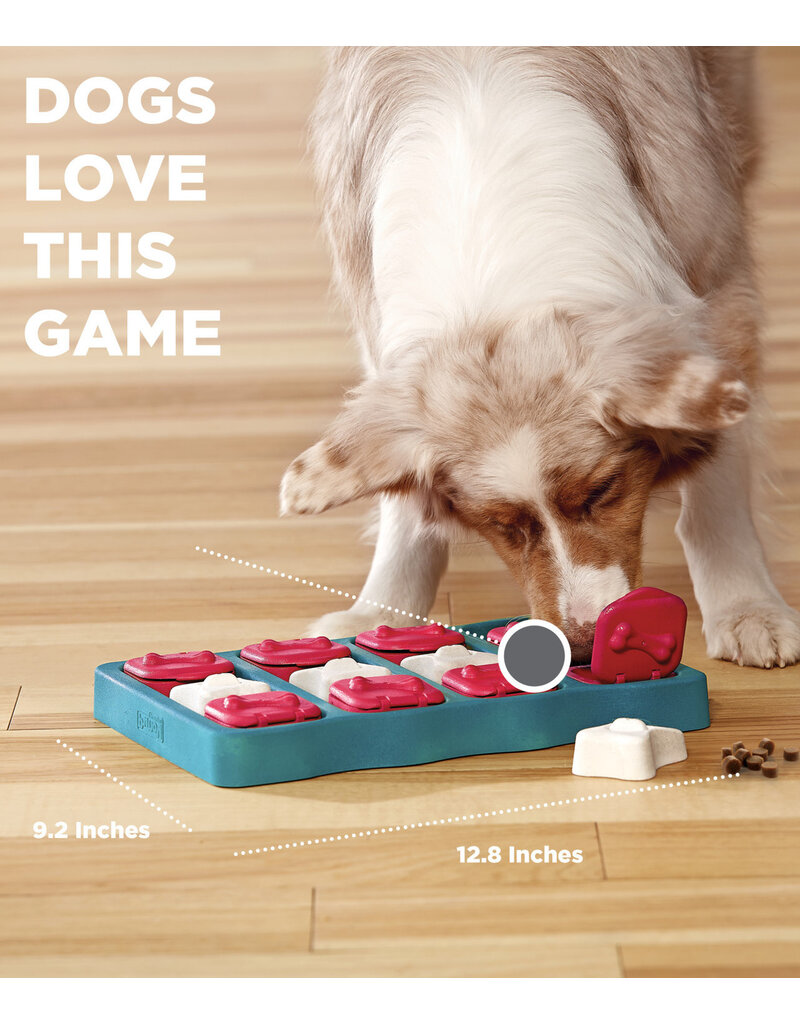 Outward Hound Outward Hound Brick Dog Puzzle Blue Level 2