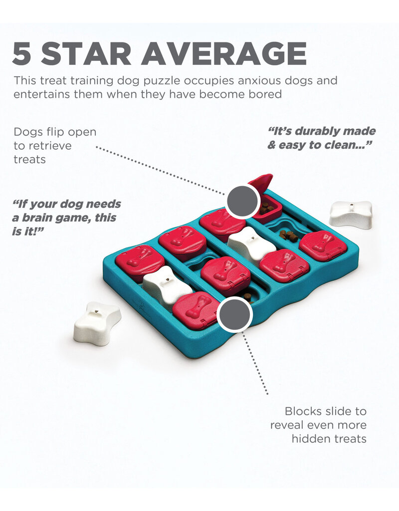 Outward Hound Outward Hound Brick Dog Puzzle Blue Level 2