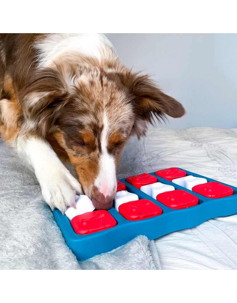 Outward Hound Outward Hound Brick Dog Puzzle Blue Level 2
