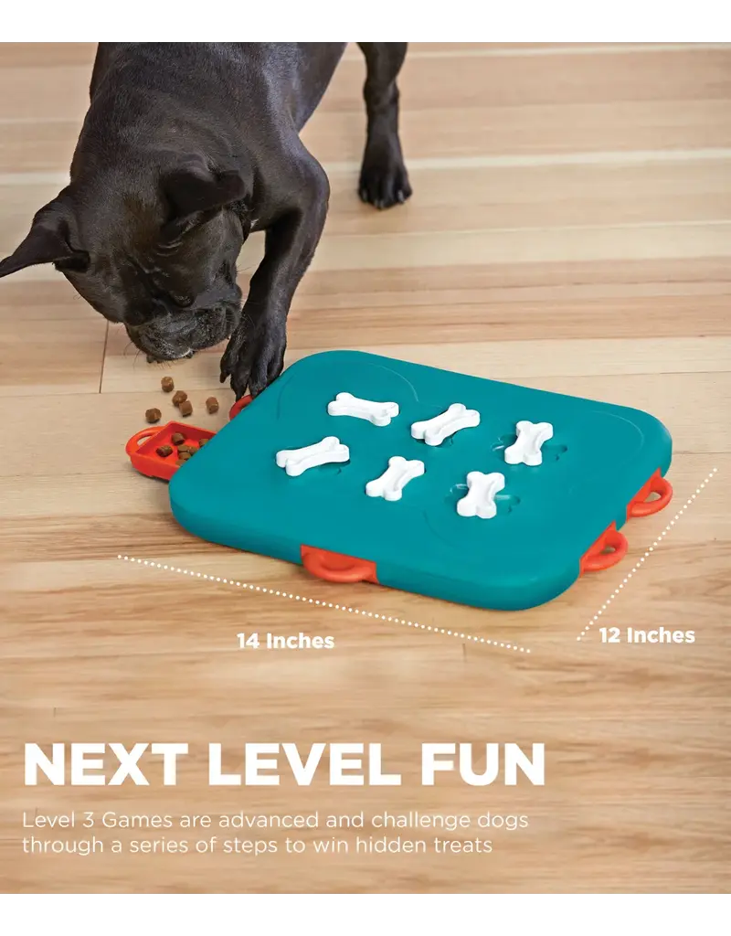Outward Hound Outward Hound Casino Puzzle Toy Level 3