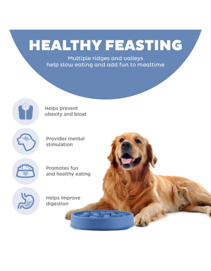 Outward Hound Outward Hound Fun Slow Feeder Dog Bowl Large