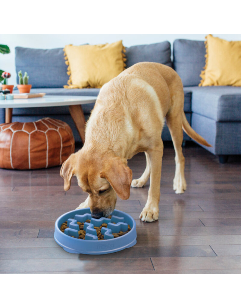 Outward Hound Outward Hound Fun Slow Feeder Dog Bowl Large