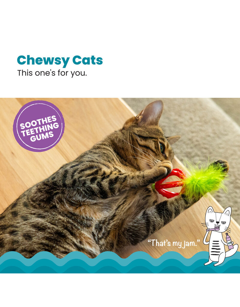 Outward Hound Catstages Dental Strawberry Teether Cat Toy