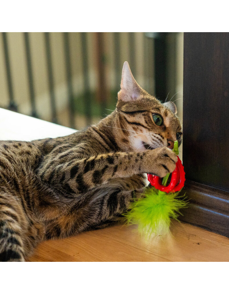 Outward Hound Catstages Dental Strawberry Teether Cat Toy