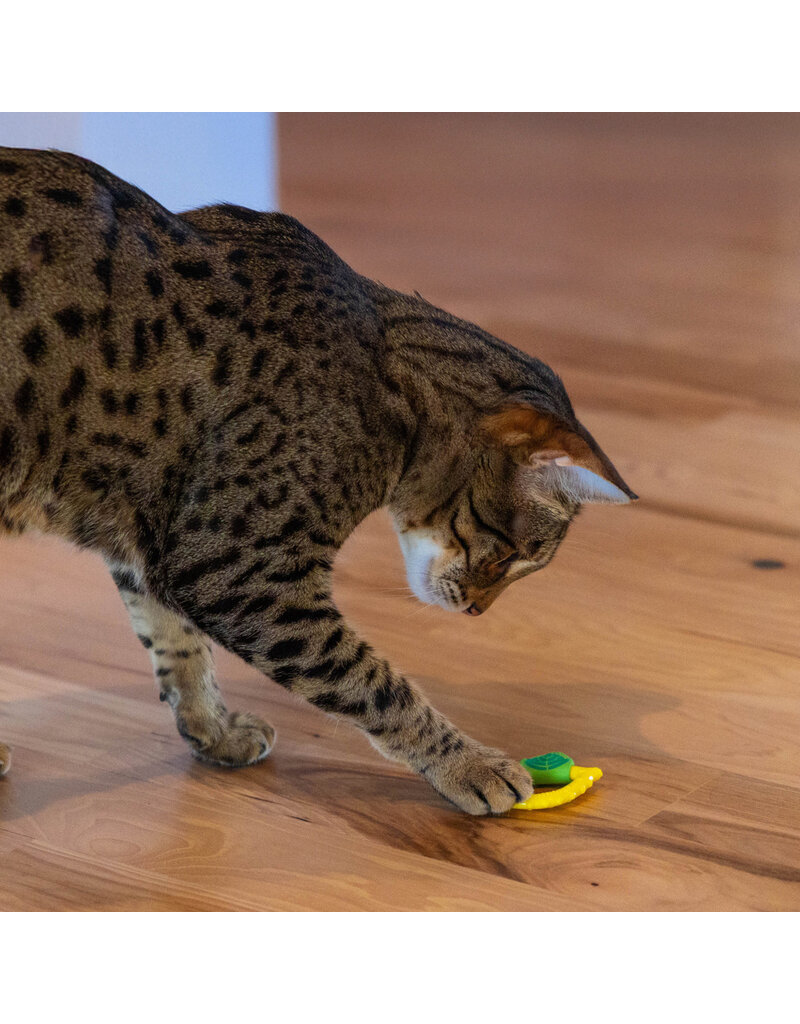 Outward Hound Catstages Dental Lemon Teether Cat Toy