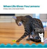 Outward Hound Catstages Dental Lemon Teether Cat Toy