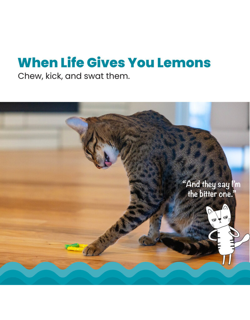 Outward Hound Catstages Dental Lemon Teether Cat Toy