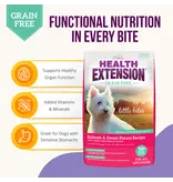 Health Extension Health Extension Little Bites Grain Free Salmon Dry Dog Food