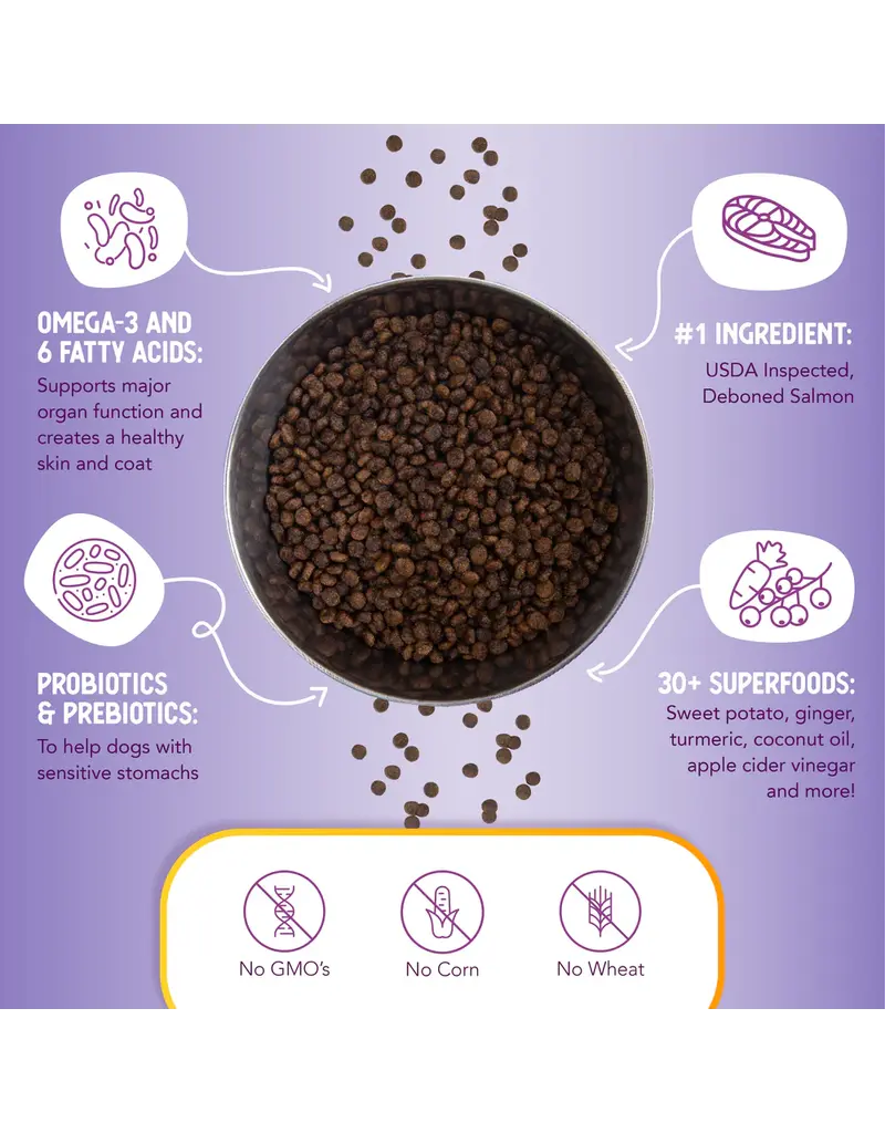 Health Extension Health Extension Little Bites Grain Free Salmon Dry Dog Food