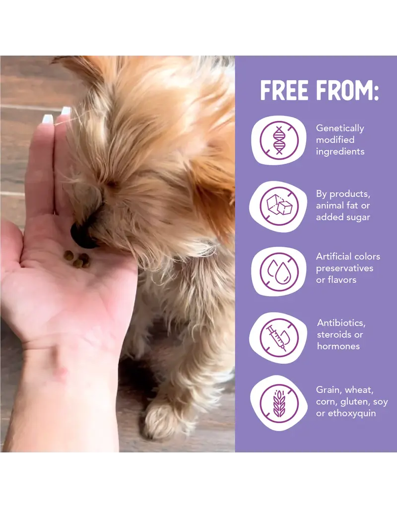 Health Extension Health Extension Little Bites Grain Free Salmon Dry Dog Food