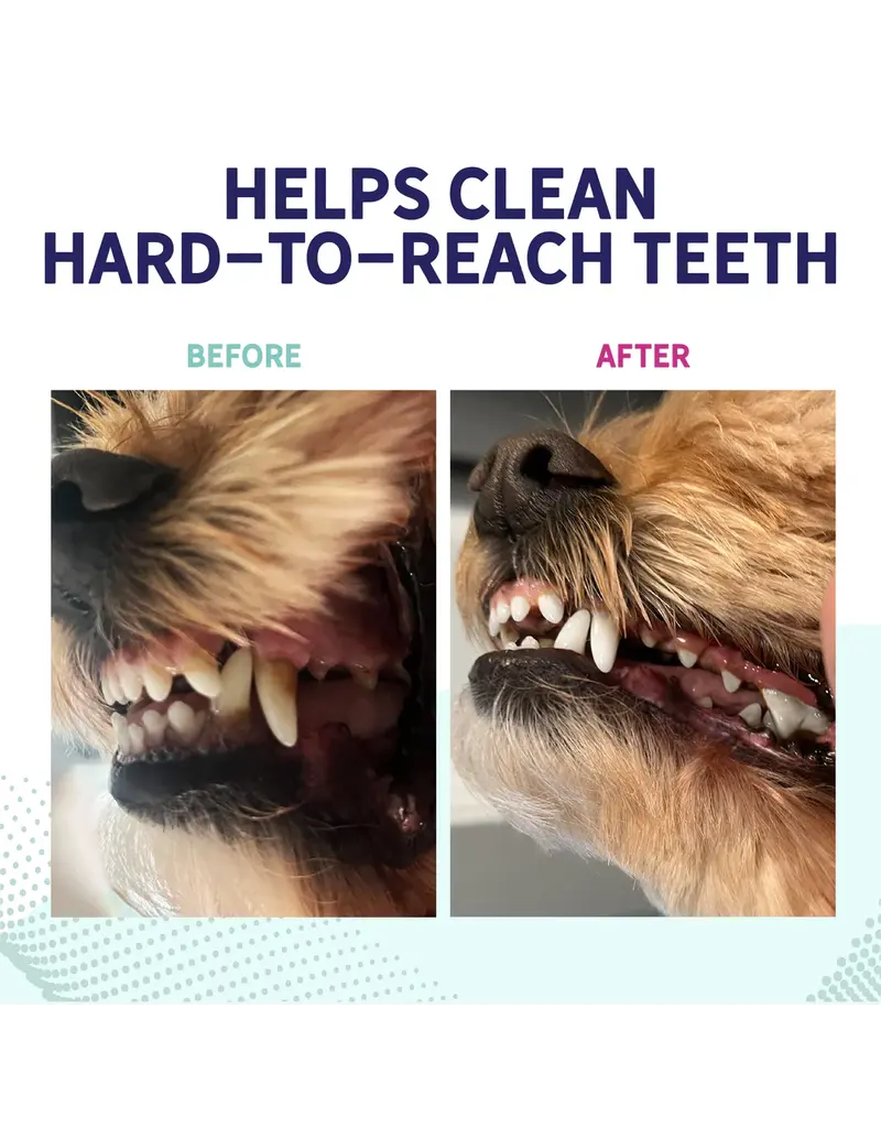 Health Extension Health Extension Probiotic Dental Bones