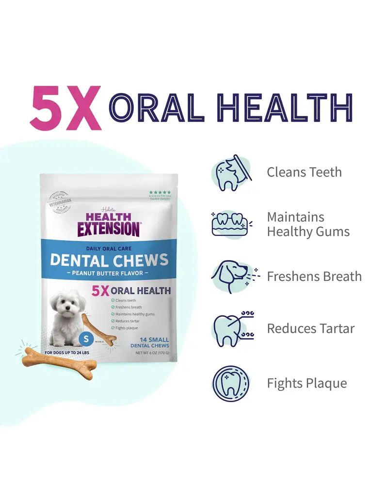 Health Extension Health Extension Peanut Butter Dental Bones