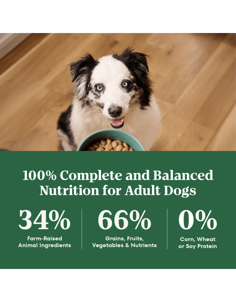 Nutro Nutro Natural Choice Healthy Weight Lamb & Rice Dry Dog Food 30 lb