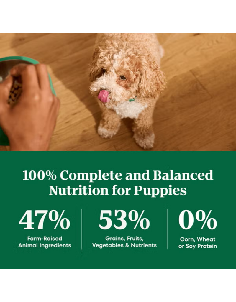 Nutro Nutro Natural Choice Puppy Chicken & Brown Rice Dry Dog Food