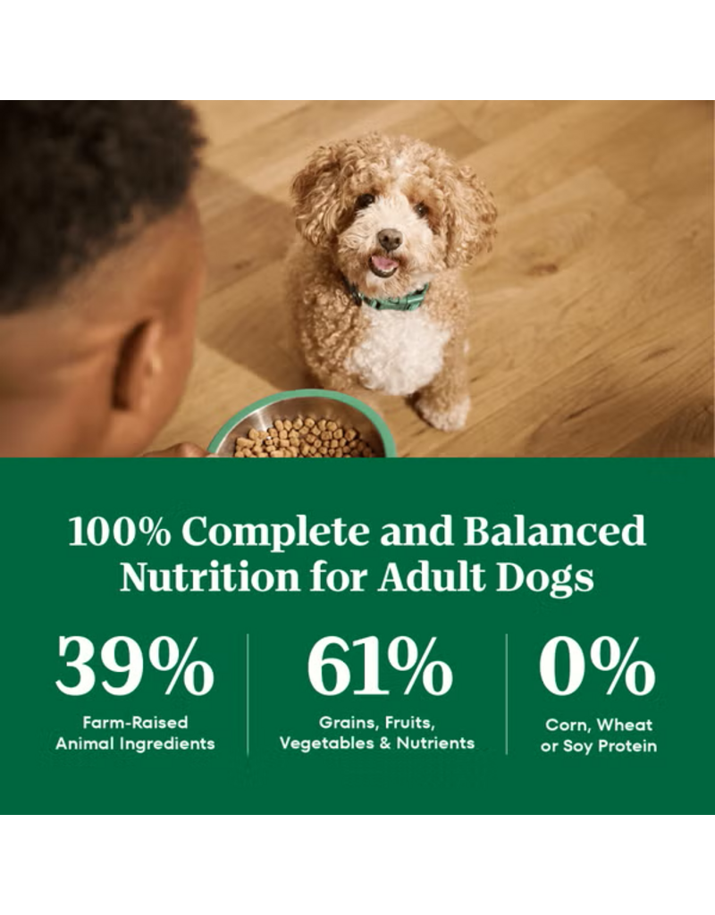 Nutro Nutro Natural Choice Small Bites Lamb & Rice Dry Dog Food