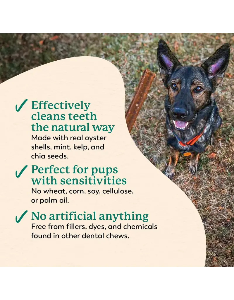 Dr Harvey Dr Harvey's Holistix Dental Chews 24 Oz