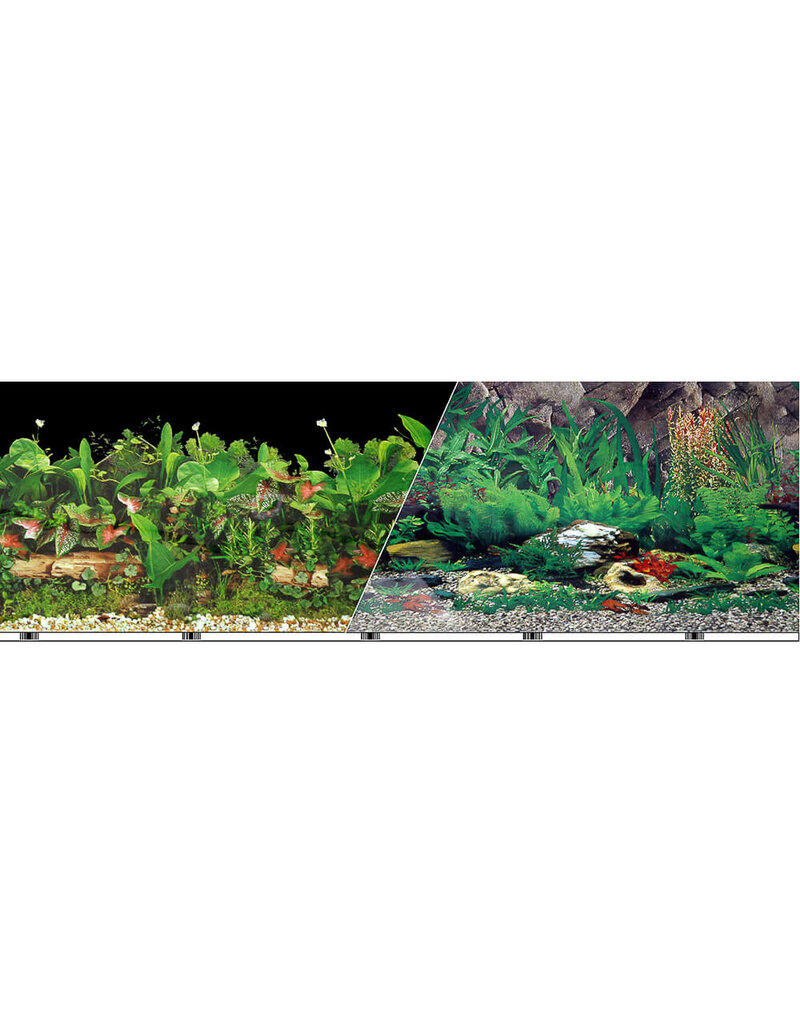 Blue Ribbon Pet Blue Ribbon 12" Tropical Freshwater Background Per Foot