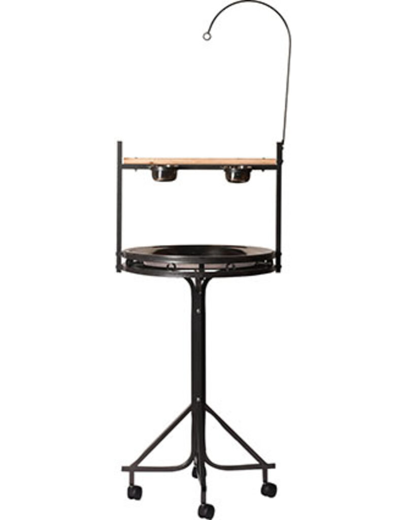 A&E Cage Company A&E Bird Play Stand 23X23 IN Blk