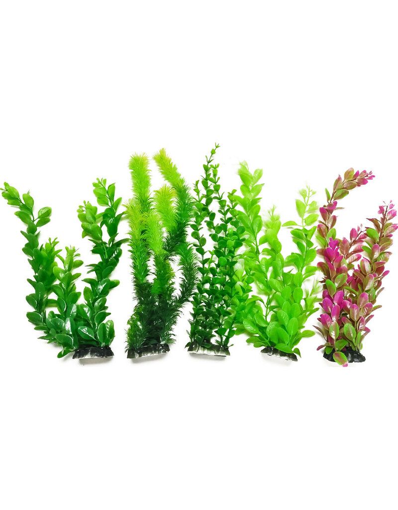 Aquatop Aquatop Plant Pack 13Inch Assorted sold as 5pk